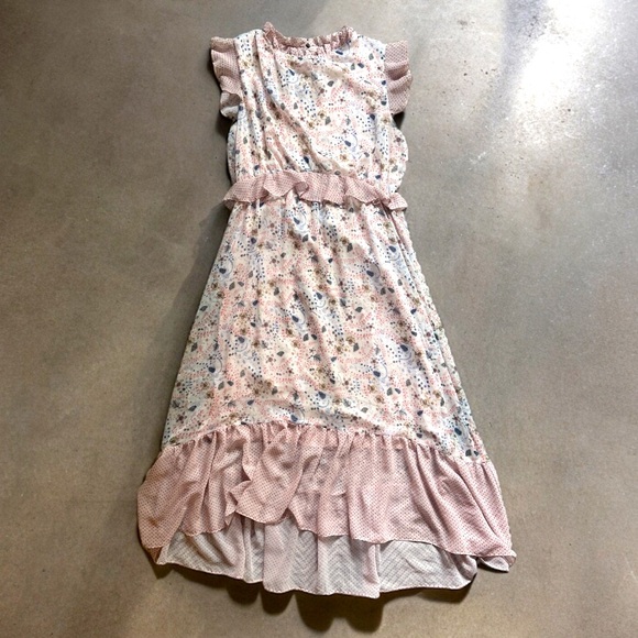 Carly Jean Los Angeles Dresses & Skirts - Carly Jean Pink Floral Polka Dot Ruffle Sheer Lined Maxi Dress